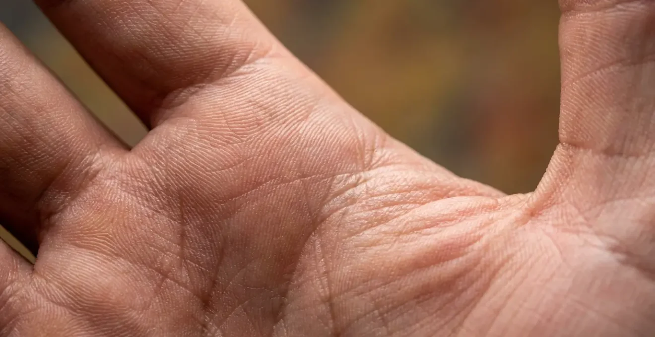 Detalle macro del Monte de Júpiter en una palma iluminada con luz natural